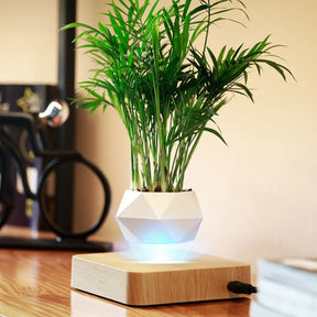 VASO FLUTUANTE MAGNÉTICO LEVIFY PARA PLANTAS ROTATIVO