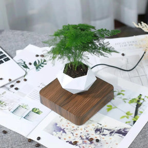 VASO FLUTUANTE MAGNÉTICO LEVIFY PARA PLANTAS ROTATIVO